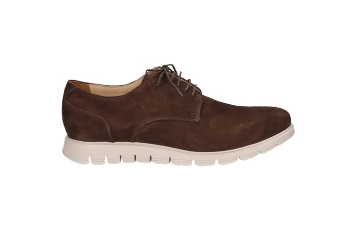 SOLIDUS 3229 Brown/TDM SOLIDUS