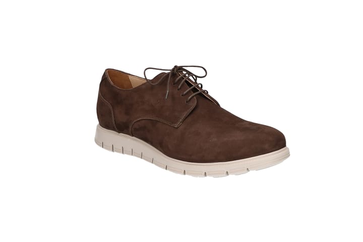 SOLIDUS 3229 Brown/TDM SOLIDUS