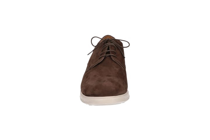 SOLIDUS 3229 Brown/TDM SOLIDUS