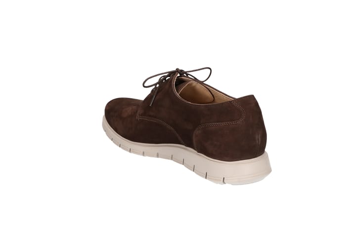 SOLIDUS 3229 Brown/TDM SOLIDUS