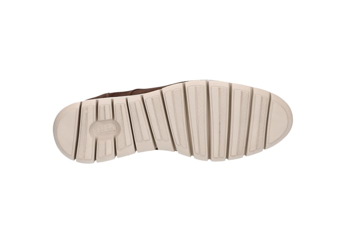 SOLIDUS 3229 Brown/TDM SOLIDUS