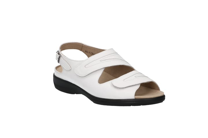 SOLIDUS 4160 White/Space SOLIDUS
