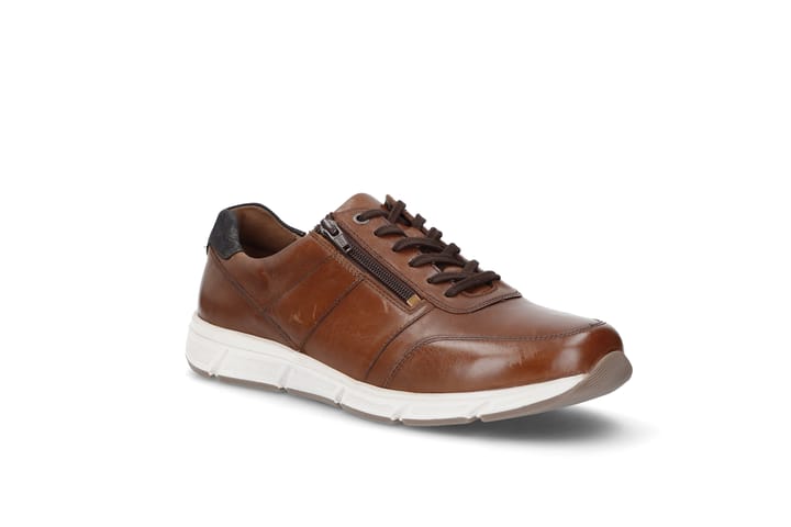 SOLIDUS 0221 Brown SOLIDUS