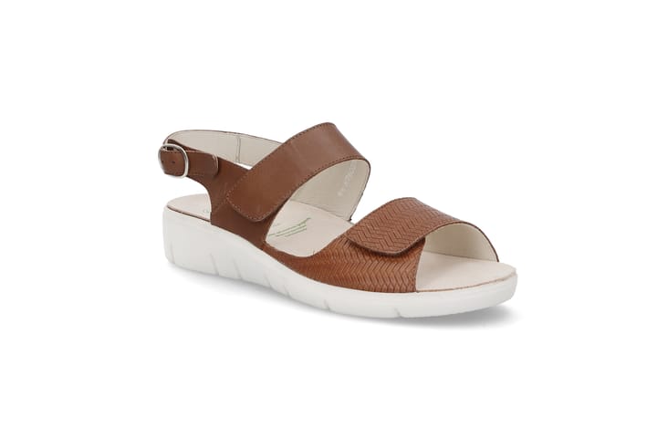 SOLIDUS 4121 Brown SOLIDUS