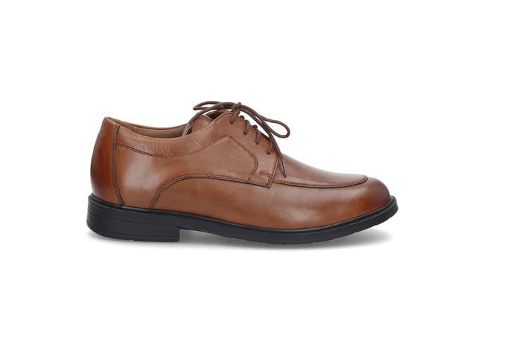 SOLIDUS 0122 Brown SOLIDUS