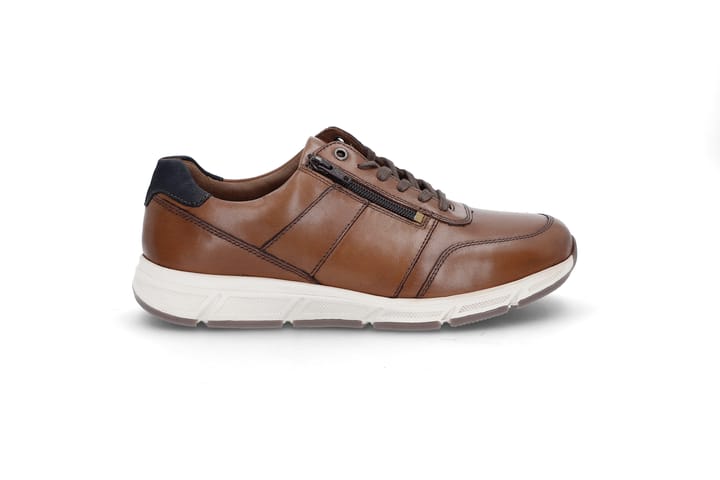 SOLIDUS 0221 Brown SOLIDUS