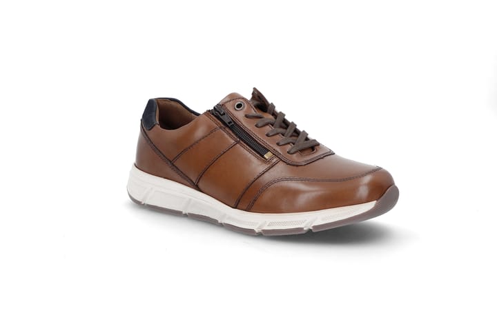 SOLIDUS 0221 Brown SOLIDUS