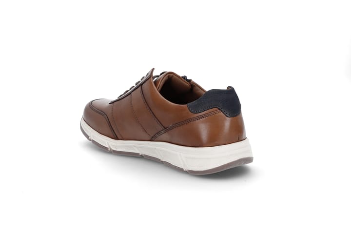 SOLIDUS 0221 Brown SOLIDUS