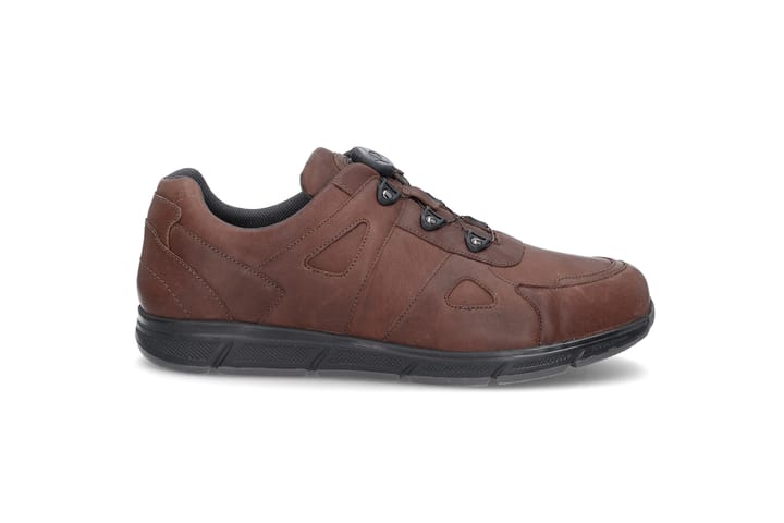SOLIDUS 0222 Brown SOLIDUS