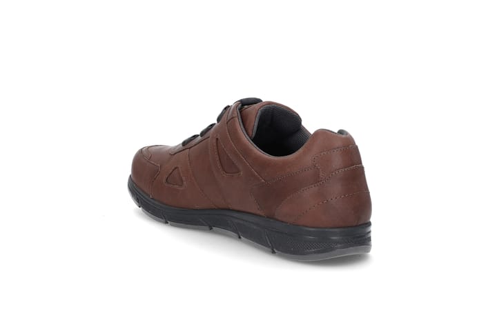 SOLIDUS 0222 Brown SOLIDUS