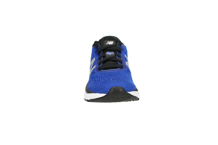 NB ORTO 6549 NB ORTO
