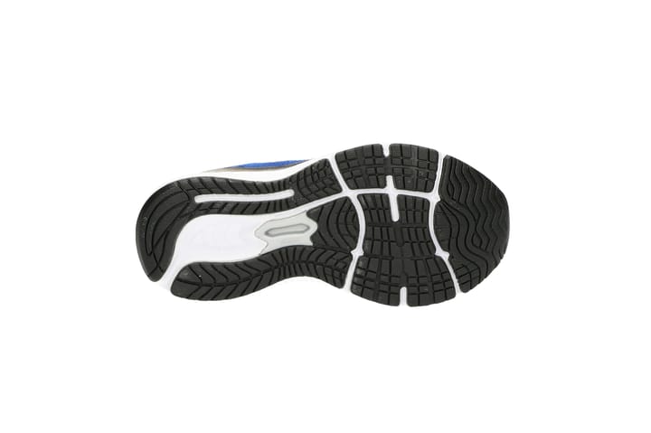 NB ORTO 6549 NB ORTO