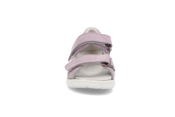 JAM 6531 Rosa JAM