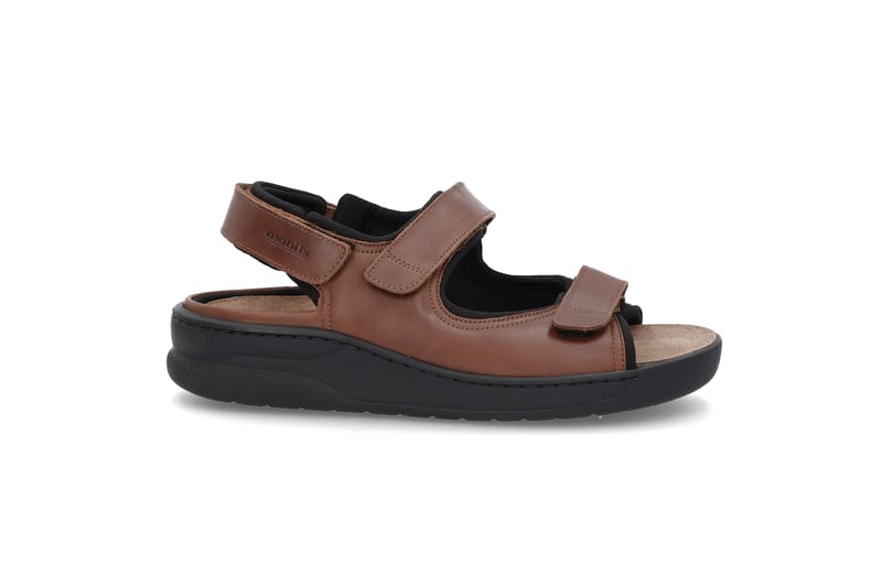 23119 MEPHISTO