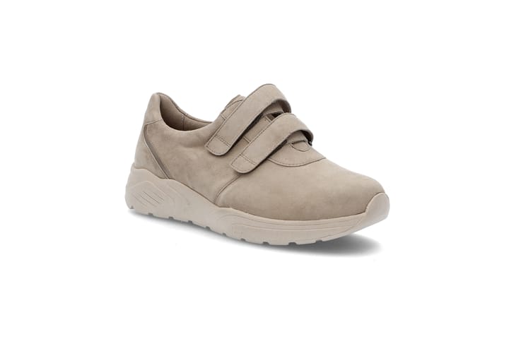 SOLIDUS 3173 Beige SOLIDUS SOLIDUS 3173 Beige SOLIDUS