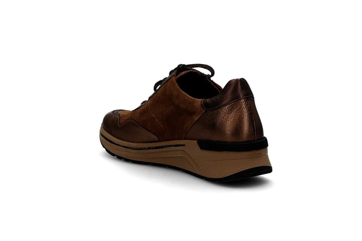 SOLIDUS 3222 Brown SOLIDUS SOLIDUS 3222 Brown SOLIDUS