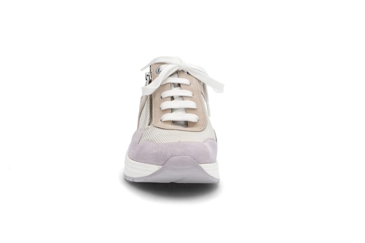 SOLIDUS 3294 Velour/Carter F SOLIDUS SOLIDUS 3294 Velour/Carter F SOLIDUS