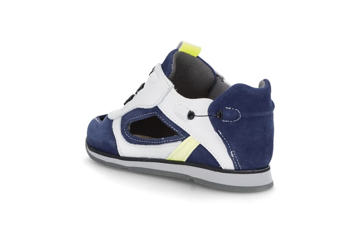 BIOMEDICA 6542 Marine BIOMEDICA