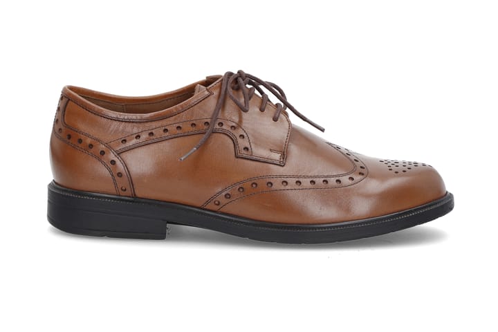 SOLIDUS 0112 Brown SOLIDUS SOLIDUS 0112 Brown SOLIDUS