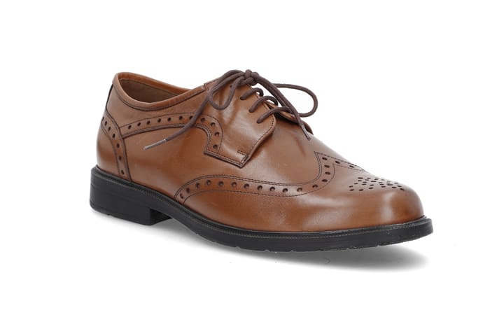 SOLIDUS 0112 Brown SOLIDUS SOLIDUS 0112 Brown SOLIDUS
