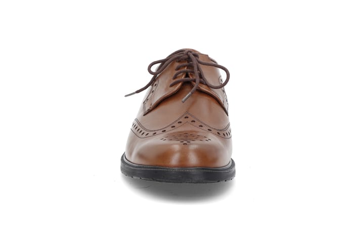 SOLIDUS 0112 Brown SOLIDUS SOLIDUS 0112 Brown SOLIDUS