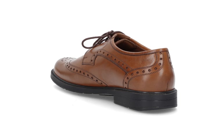 SOLIDUS 0112 Brown SOLIDUS SOLIDUS 0112 Brown SOLIDUS