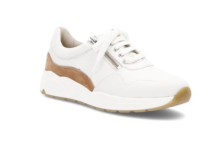SOLIDUS 3262 Brown SOLIDUS