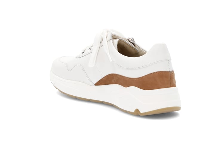 SOLIDUS 3262 Brown SOLIDUS SOLIDUS 3262 Brown SOLIDUS