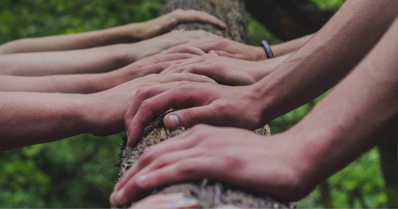 Flere hender plassert på en trestamme i en utendørs, grønn skogmiljø som symboliserer samarbeid og fellesskap.